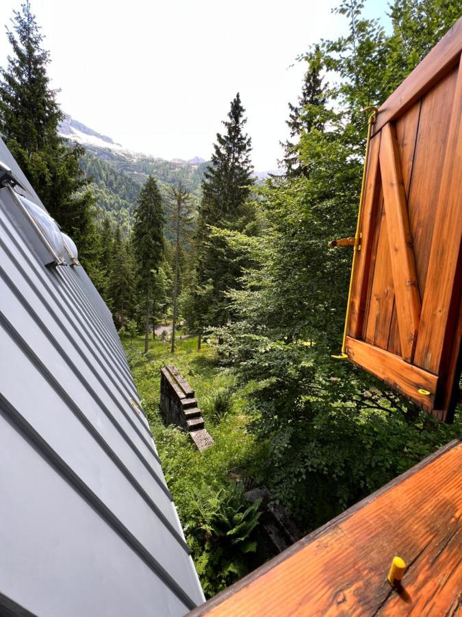 ~Chalet_Rifugio Tra I Boschi~ سيلا نيفيا المظهر الخارجي الصورة