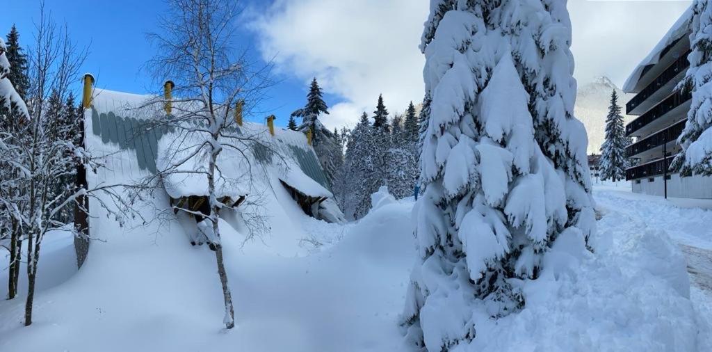 ~Chalet_Rifugio Tra I Boschi~ سيلا نيفيا المظهر الخارجي الصورة