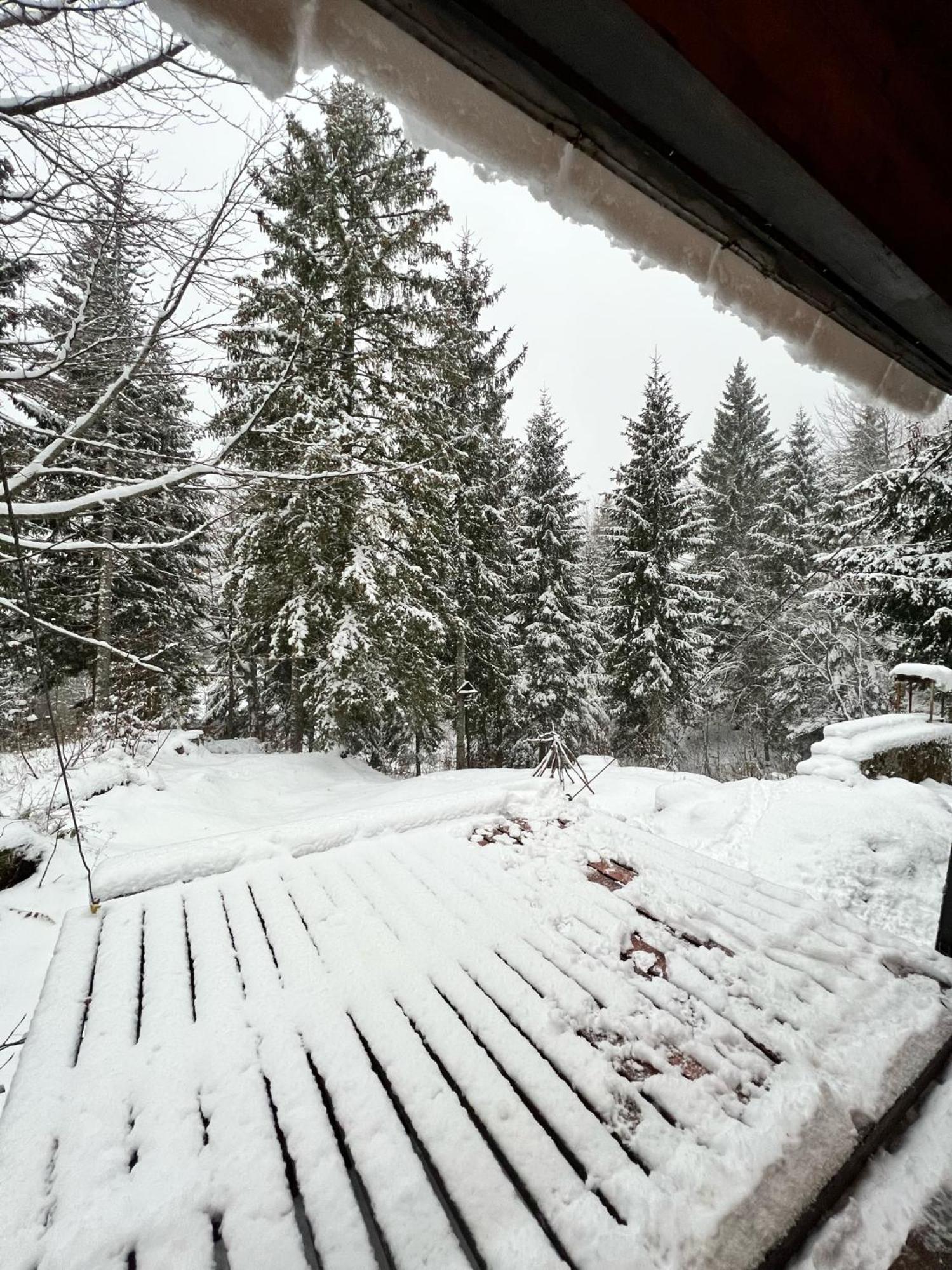~Chalet_Rifugio Tra I Boschi~ سيلا نيفيا المظهر الخارجي الصورة