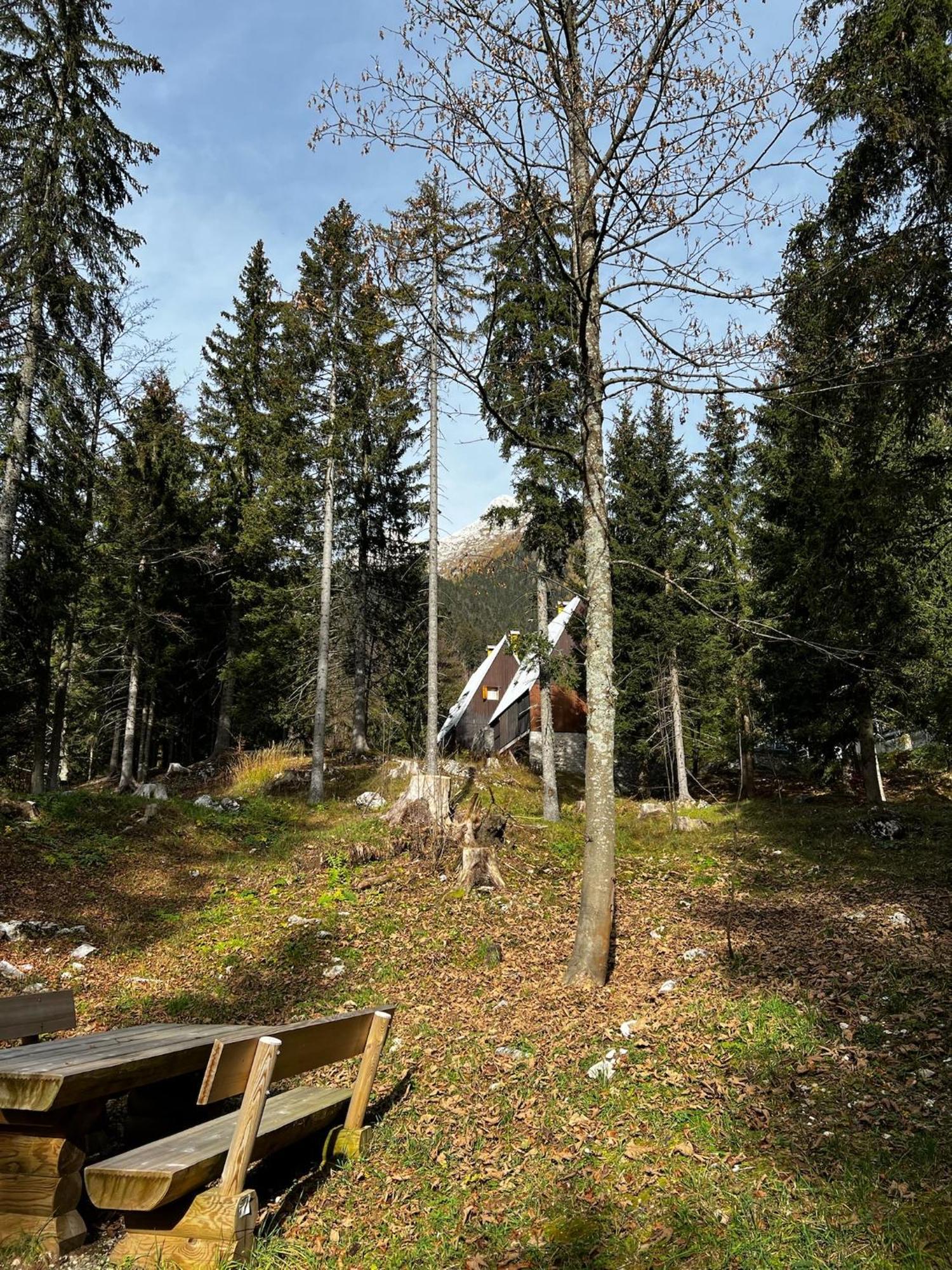 ~Chalet_Rifugio Tra I Boschi~ سيلا نيفيا المظهر الخارجي الصورة
