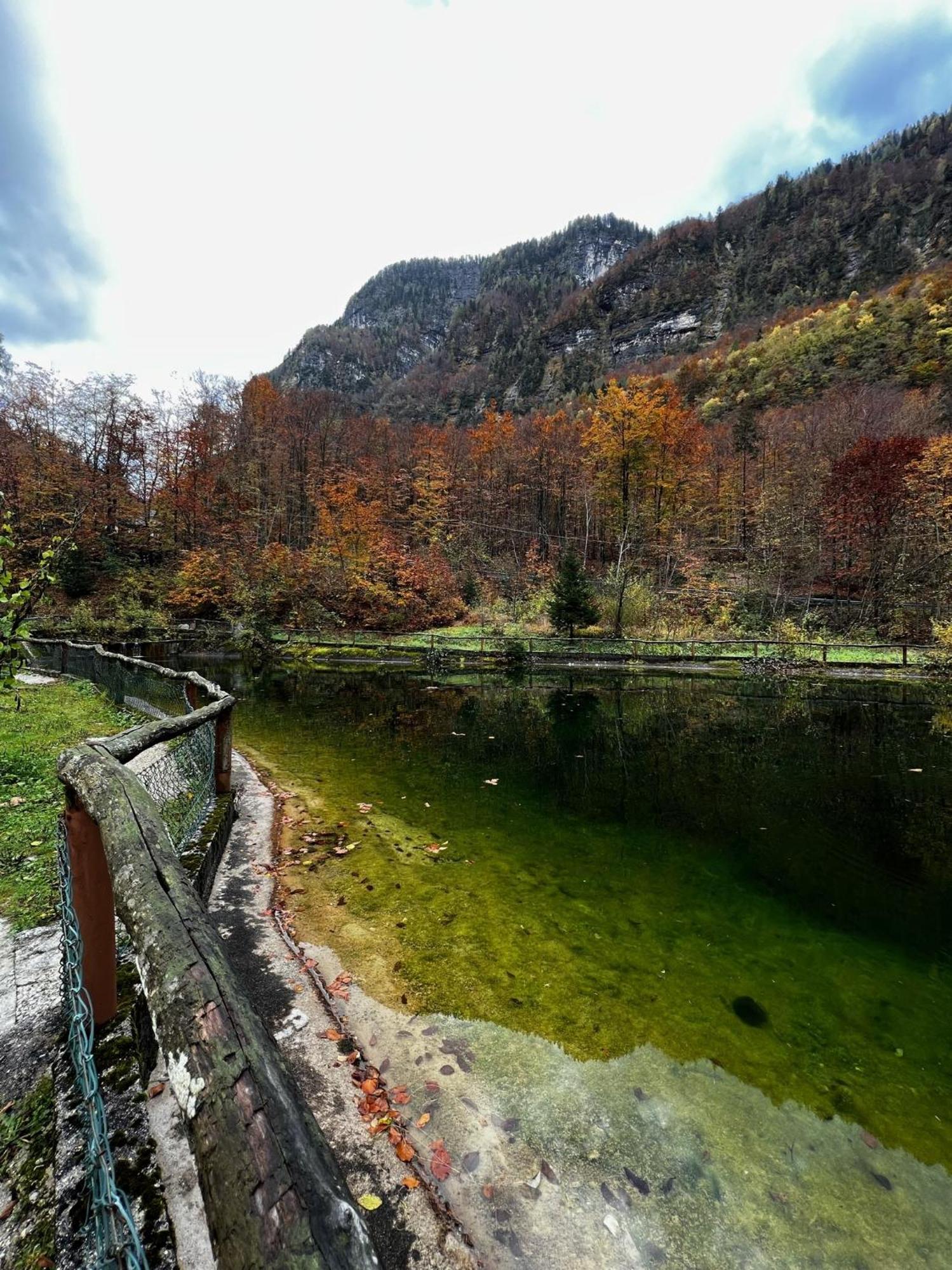 ~Chalet_Rifugio Tra I Boschi~ سيلا نيفيا المظهر الخارجي الصورة